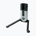 Topeak Flash Stand Fat Bike Ständer schwarz T-TW007