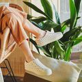 Native Jefferson Turnschuhe Schale weiß/Schale weiß 14