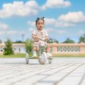 Dreirädriges Laufrad Globber Learning Trike 2w1 Plus Ecologic pistachio 13