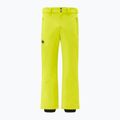 Herren Skihose Descente Swiss giant gelb