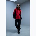 Skihose Damen Descente Insulated black 50Y 3