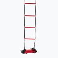 Wilson Ladder Koordinationstrainingsleiter rot Z2542+