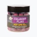 Dynamite Baits Mulberry Plum Pop Up 15mm dunkel lila Karpfen Schwimmer Kugeln ADY041014