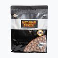 Dynamite Baits Proteinkugeln Heiße Krabbe & Krill 1 kg