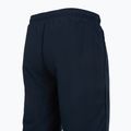 Herren-Trainingshose Mizuno Takeshi Track navy 4