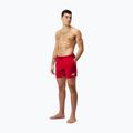 Herren Speedo Boom Logo 16  Schwimmshorts rot 68-124336446 2