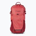 Berghaus Remote Hike 25 l Bratapfel/Syrah Wanderrucksack