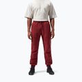 Herren Berghaus Prism syrah Hose 4