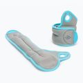 Reebok Handgelenk Gewichte 2 x 1 kg grau RAWT-11071BL