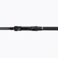 Daiwa Black Widow Carp G50 Karpfen Angelrute schwarz 11584-360 3