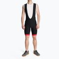 Fahrrad Shorts Herren Endura Xtract Gel II Bibshort red