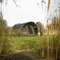 Avid Carp Ascent Bivvy Ein Mann Karpfen Zelt braun A0530007 5