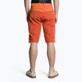 Fahrrad Shorts Herren Endura Singletrack Lite Short Sht harvest 2