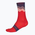 Fahrrad Socken Herren Endura Jagged pomegranate