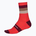 Fahrrad Socken Herren Endura Bandwidth pomegranate 2