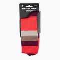 Fahrrad Socken Herren Endura Bandwidth pomegranate 5