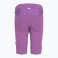 Fahrrad Shorts Kinder Endura MT500 Jr Burner Short thistle 2