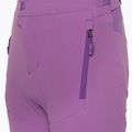 Fahrrad Shorts Kinder Endura MT500 Jr Burner Short thistle 5