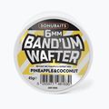 Sonubaits Band'um Wafters Ananas Kokosnuss Haken Köder Hanteln S1810075