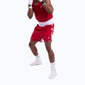 Herren-Trainingsshorts Boxraw Stevenson V2 red/white 4