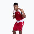 Herren-Shirt Boxraw Stevenson V2 Tank red/white 4