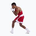 Herren-Shirt Boxraw Stevenson V2 Tank red/white 9