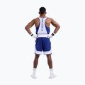 Herren-Trainingsshorts Boxraw Stevenson V2 blue/white 3