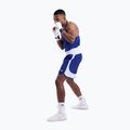 Herren-Trainingsshorts Boxraw Stevenson V2 blue/white 8