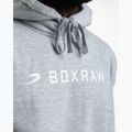 Herrenpullover Boxraw A.B.C. Hoodie grey 8