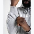 Herrenpullover Boxraw A.B.C. Hoodie grey 9