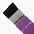 Damensocken Endura Coolmax Race 3 pairs W end purple 6