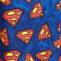 Zoggs Superman blaue Kinder Badeshorts 2