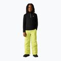 Kinder Fleecejacke Dare 2b Freehand Fleece black 3
