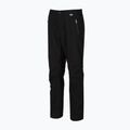 Herren Trekkinghose REGATTA Highton Stretch black 5