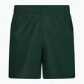Herren Nike Essential 5" Volley Badeshorts grün NESSA560-303