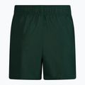 Herren Nike Essential 5" Volley Badeshorts grün NESSA560-303 2