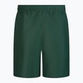 Herren Nike Essential 7  Badeshorts grün NESSA559 2