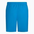Herren Nike Essential 5" Volley Badeshorts blau NESSA560-406 2