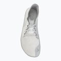 Barfußschuhe für Herren Vivobarefoot Primus Lite IV mineral 5