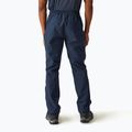 Herren-Trekkinghose REGATTA Highton Stretch navy 3