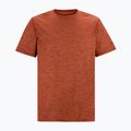 Herren-Trekkingshirt REGATTA Fingal Edition rusty orange 5