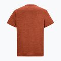 Herren-Trekkingshirt REGATTA Fingal Edition rusty orange 6