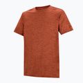 Herren-Trekkingshirt REGATTA Fingal Edition rusty orange 7