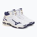 Herren Volleyball Schuhe Mizuno Wave Voltage Mid weiß / blaues Band / mp gold 5