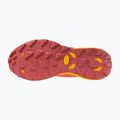 Damen Laufschuhe Mizuno Wave Daichi 8 GTX Kapuzinerkresse/Citrus/Cranberry 6