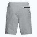 Herren Nike Flow 9  Hybrid Schwimmshorts grau NESSC515 2