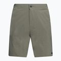 Herren Nike Flow 9  Hybrid Badeshorts grün NESSC515