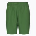 Herren Nike Essential 7" Volley Badeshorts grün NESSA559-316