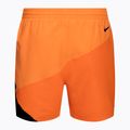 Herren Nike Logo 5" Volley Badeshorts blau NESSC470-440 5