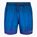 Herren Nike Jdi Fade 5" Volley Badeshorts lila NESSC479-593